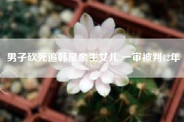 男子砍死追韩星亲生女儿 一审被判12年