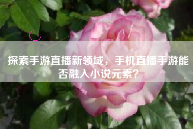 探索手游直播新领域，手机直播手游能否融入小说元素？