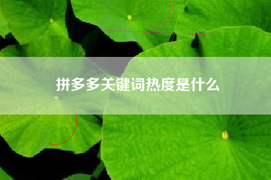 拼多多关键词热度是什么 拼多多关键词热度是什么