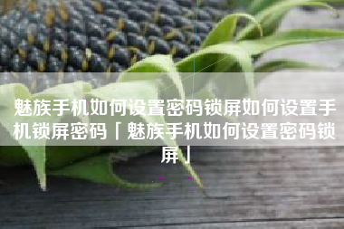 魅族手机如何设置密码锁屏如何设置手机锁屏密码「魅族手机如何设置密码锁屏」