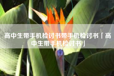 高中生带手机检讨书带手机检讨书「高中生带手机检讨书」