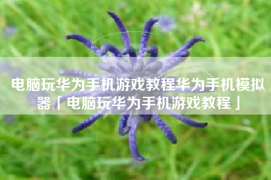 电脑玩华为手机游戏教程华为手机模拟器「电脑玩华为手机游戏教程」