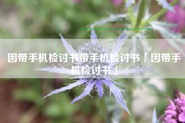 因带手机检讨书带手机检讨书「因带手机检讨书」