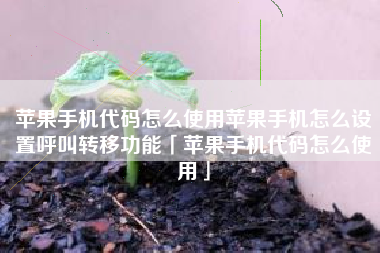 苹果手机代码怎么使用苹果手机怎么设置呼叫转移功能「苹果手机代码怎么使用」
