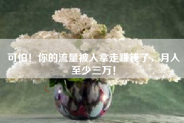 可怕！你的流量被人拿走赚钱了，月入至少三万！