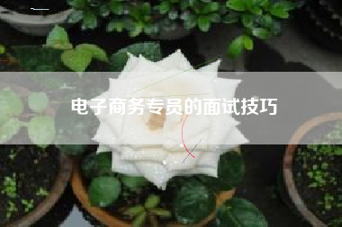 电子商务专员的面试技巧